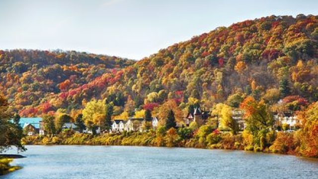 Unlocking the Beauty of Fall: Interactive Tools for Leaf-Peeping