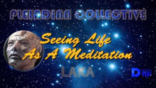 New Perspectives on Mindfulness: Embracing Life's Flow