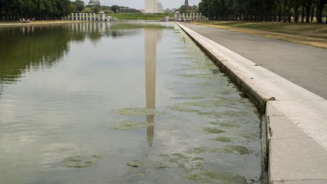 New Concerns Arise Over Reflecting Pool's Safety and Maintenance Issues | j99slot, slot online 888